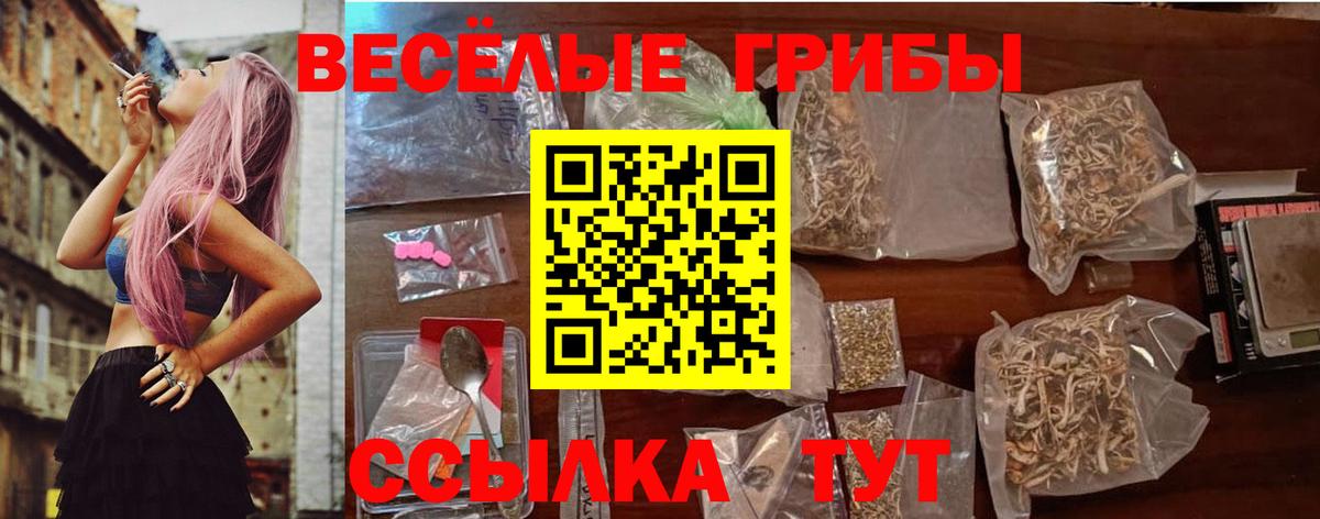 Галлюциногенные грибы прущие грибы Анапа